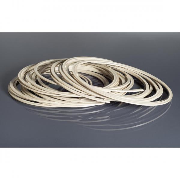 GN4560-V0  PTFE / CARBON B 200X225X4 Carbon Backup Rings #1 image