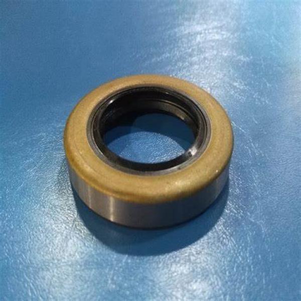 6250 STYLE 6000 T 63.5X0X12.7 TDUO Seals #1 image